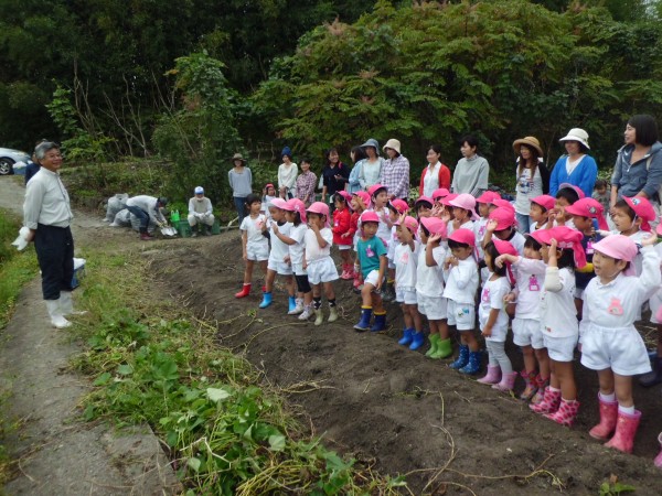 お芋の苗植えから、学園大学の河田先生にお世話になり、いろいろな事を教えてもらいました。 子どもたちは先生の話をしっかりと聞き、ありがとうの気持ちを笑顔いっぱいで返していました。